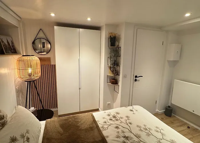 Апартаменты Elsass Canal Страсбург